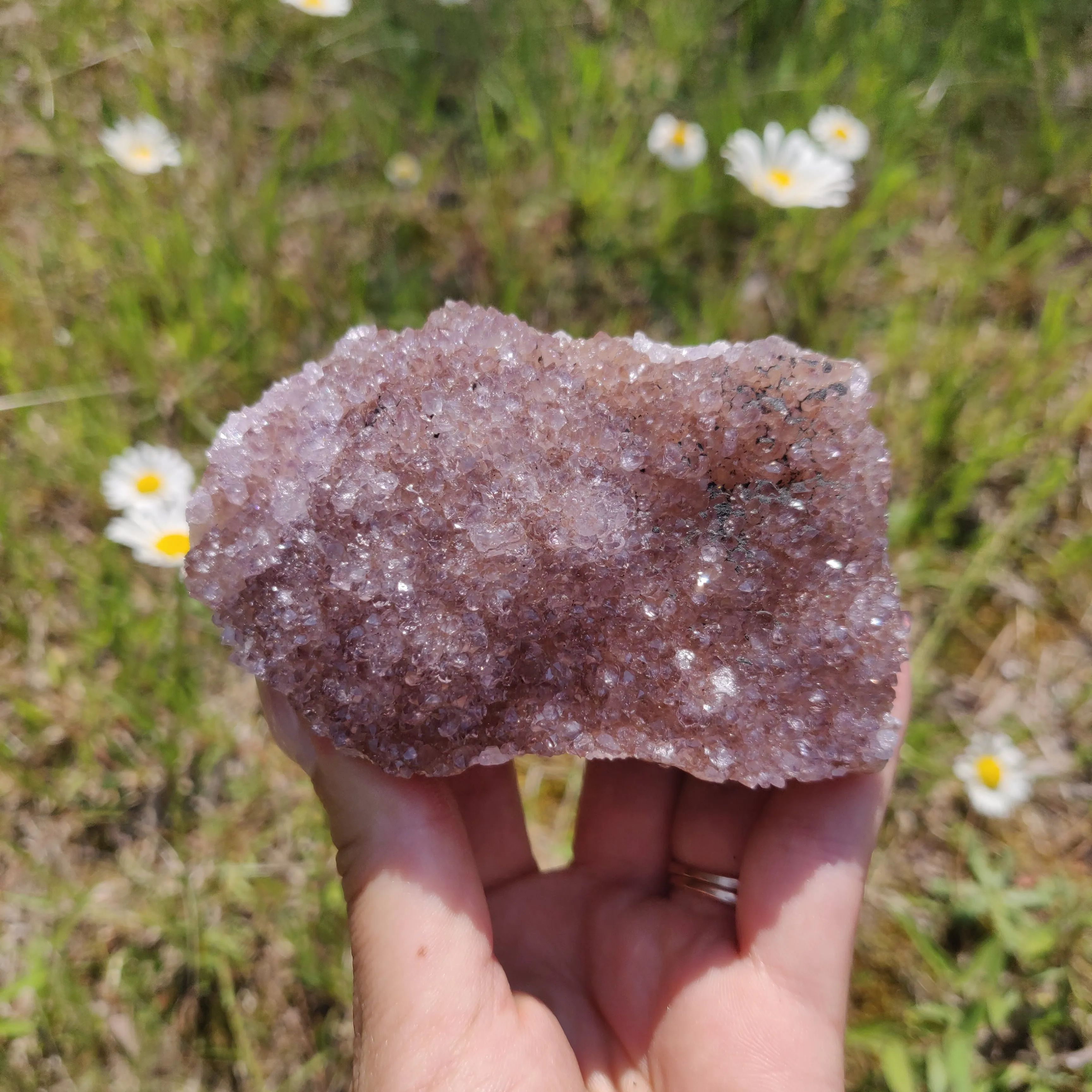 Amethyst Cluster (#4)