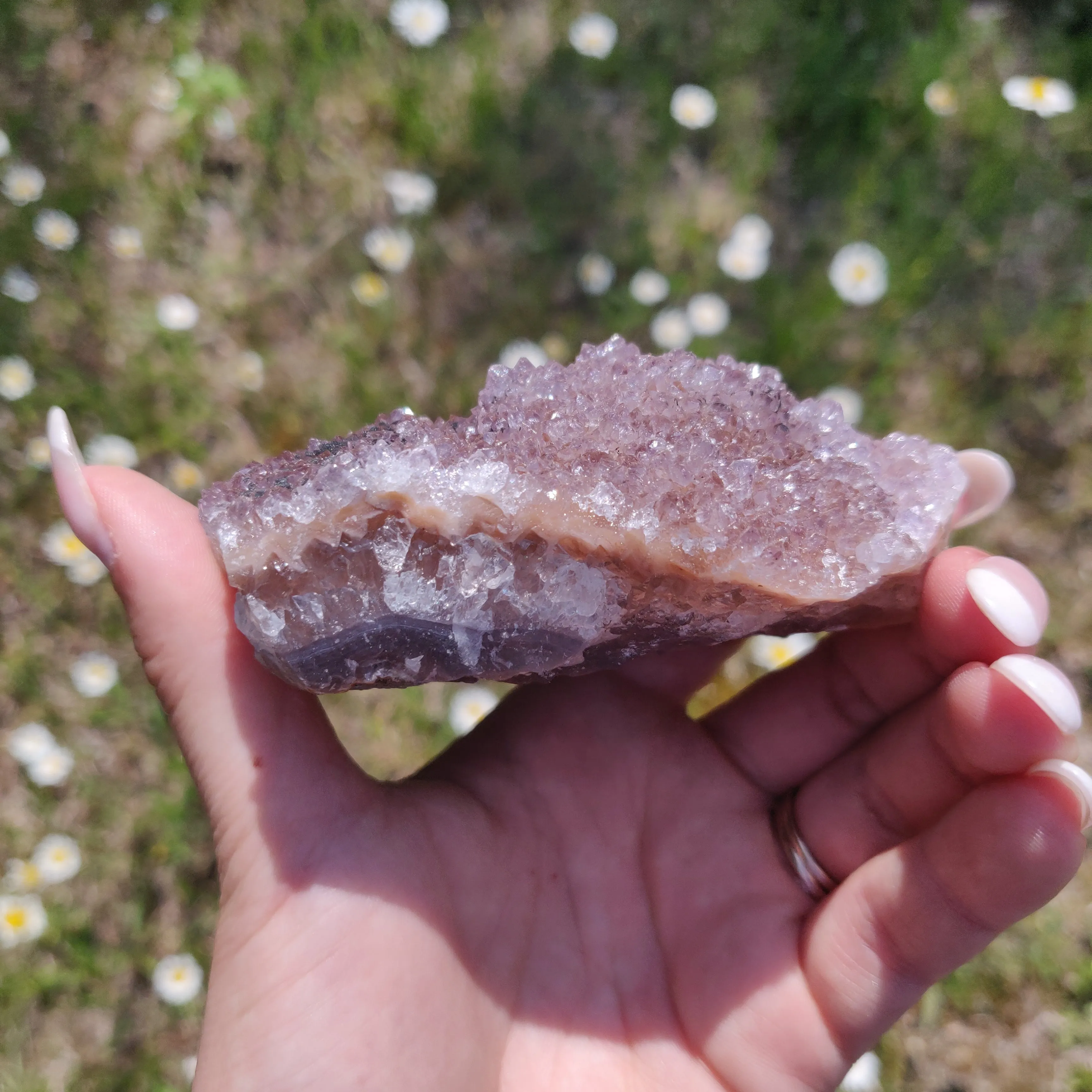 Amethyst Cluster (#4)