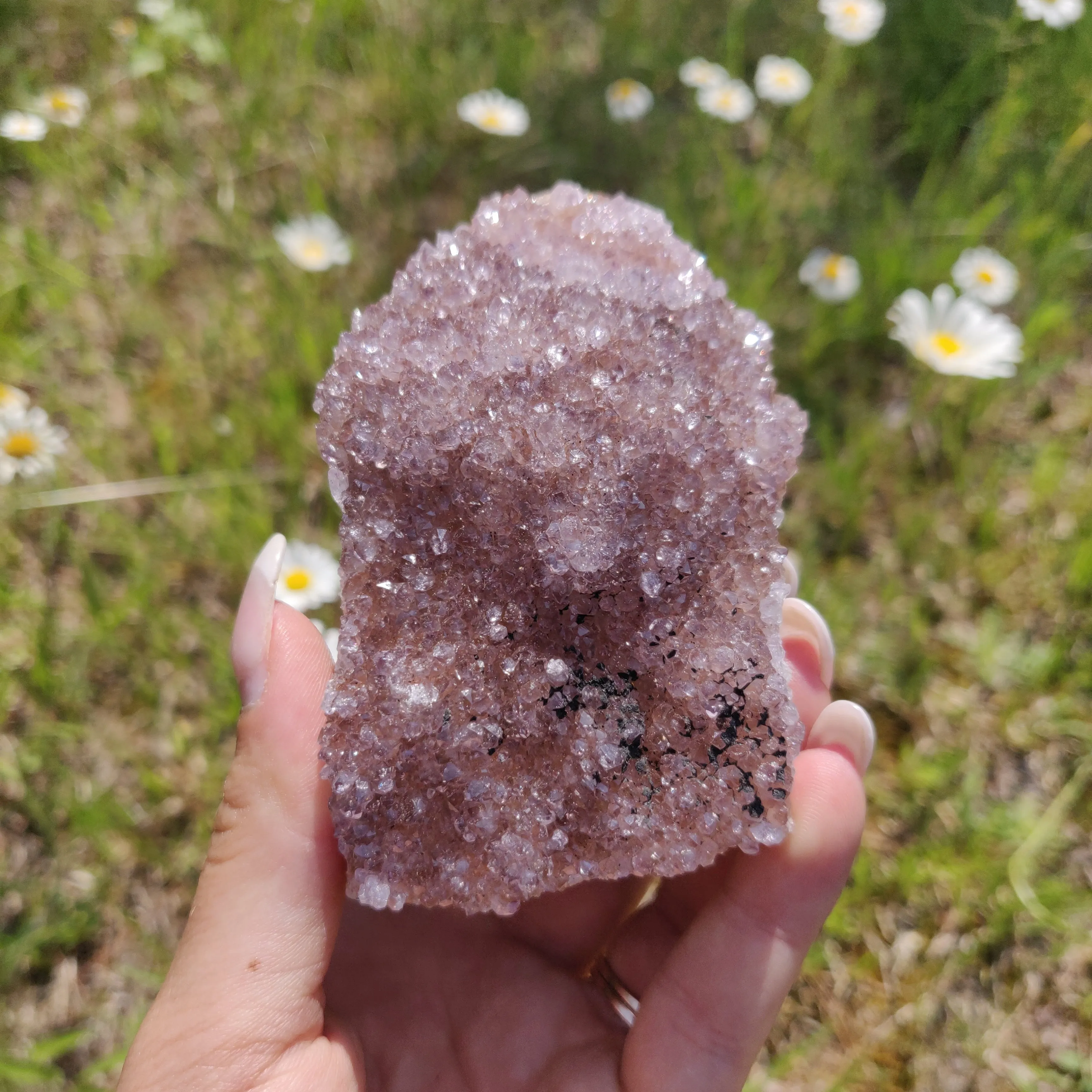 Amethyst Cluster (#4)