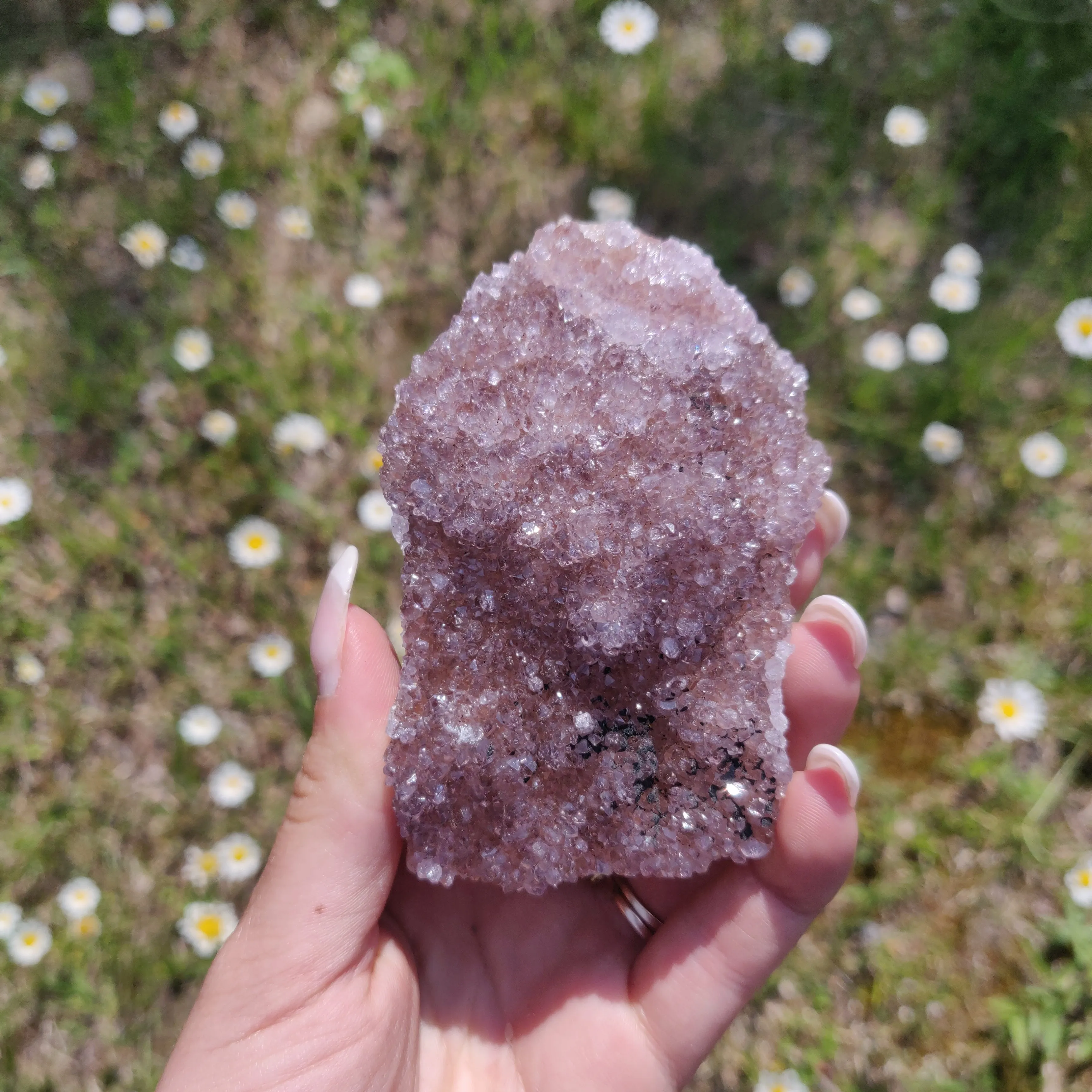 Amethyst Cluster (#4)