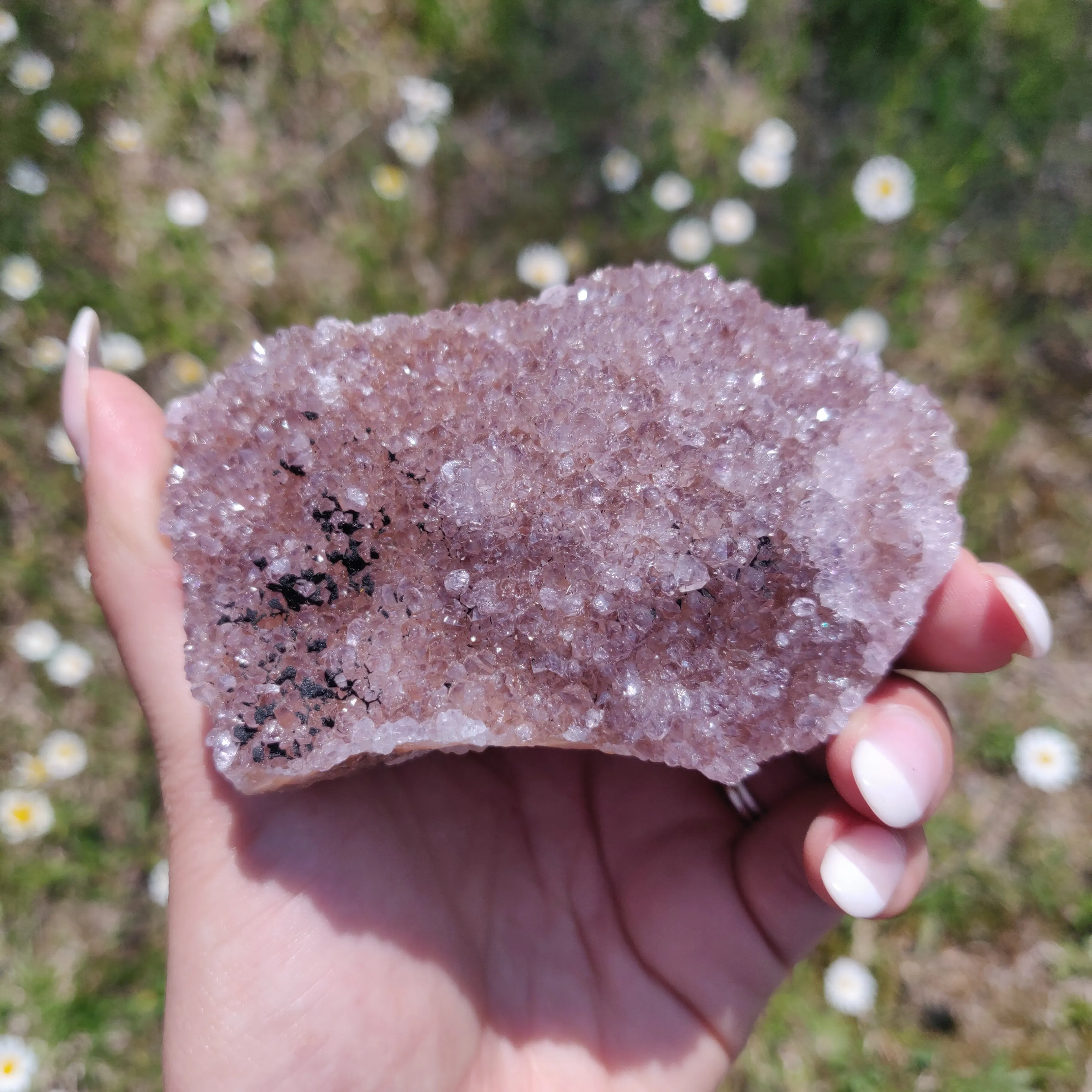 Amethyst Cluster (#4)