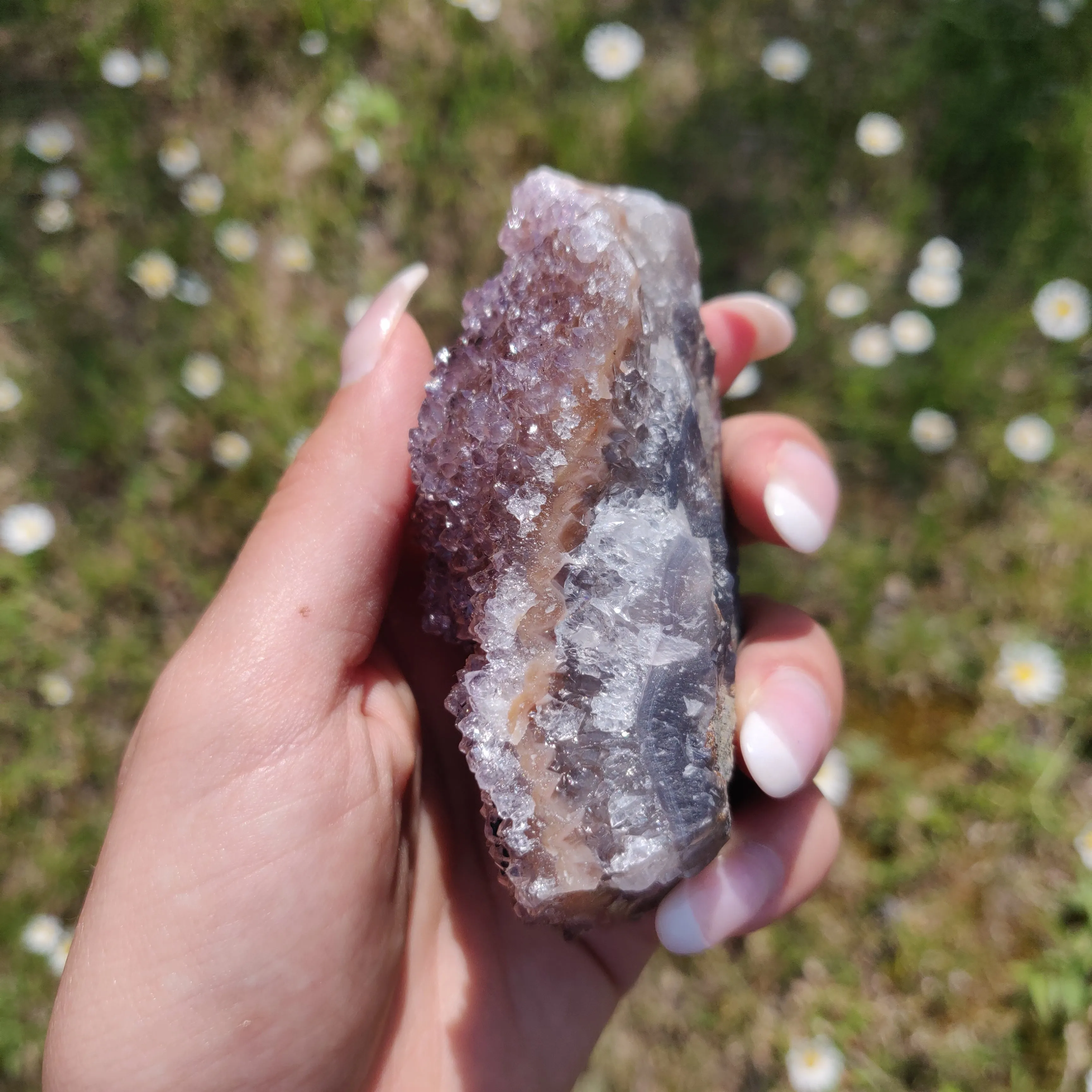 Amethyst Cluster (#4)