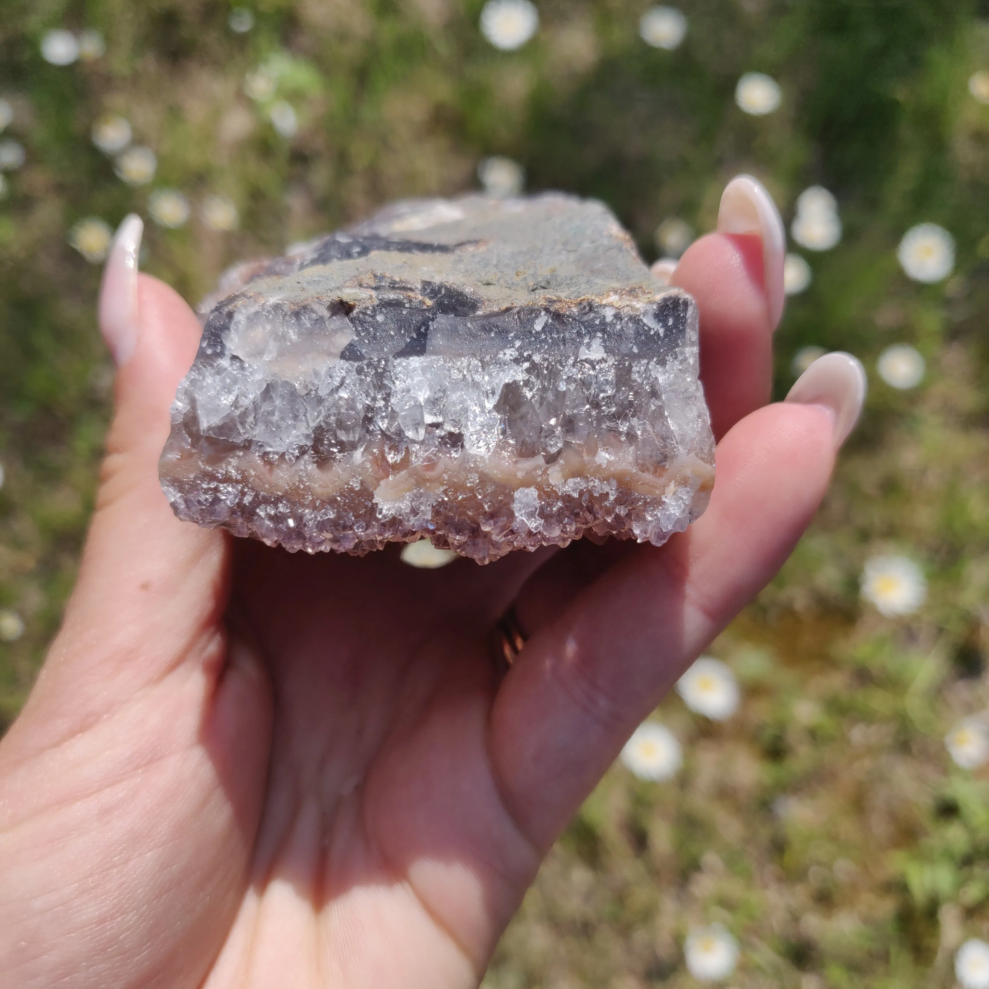Amethyst Cluster (#4)