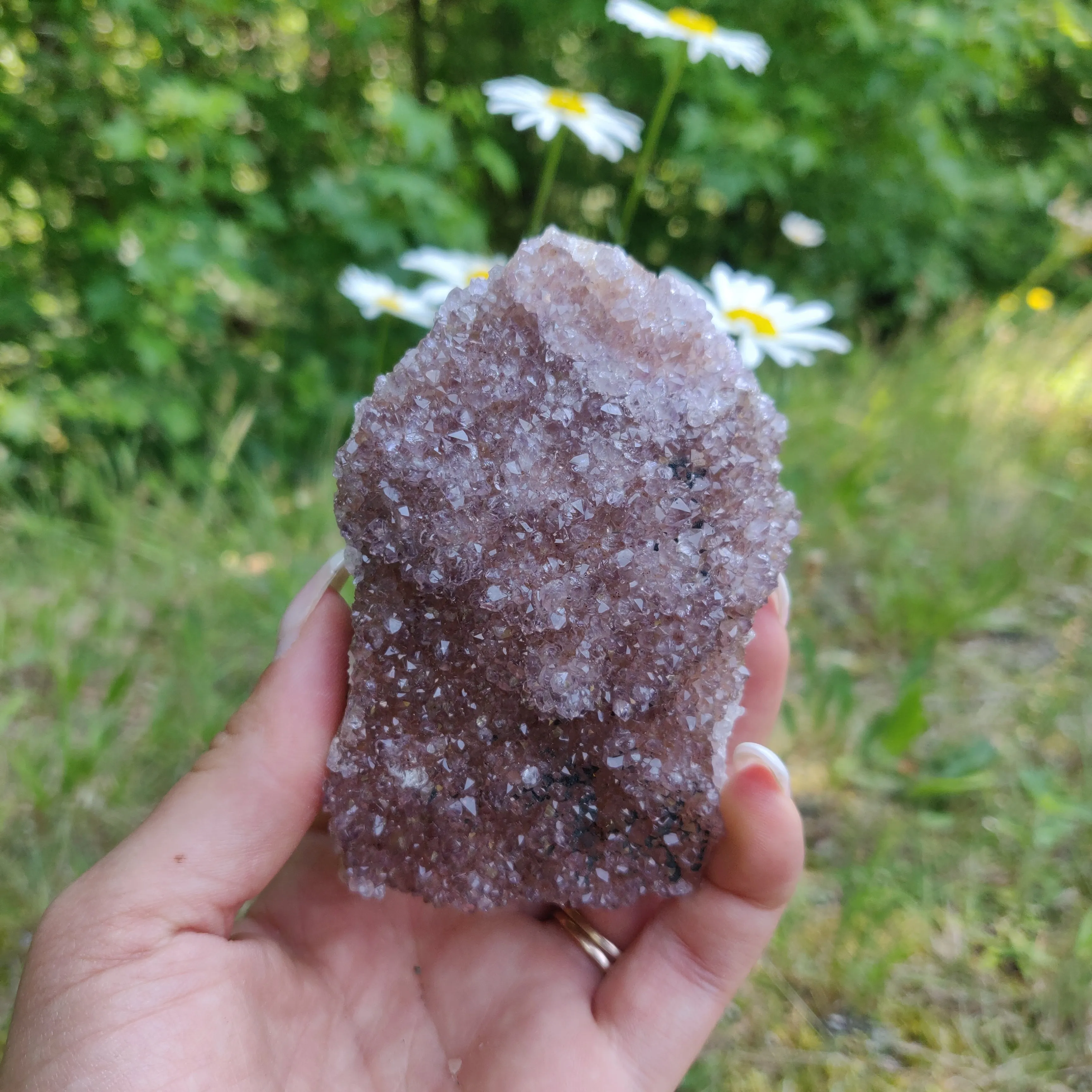 Amethyst Cluster (#4)