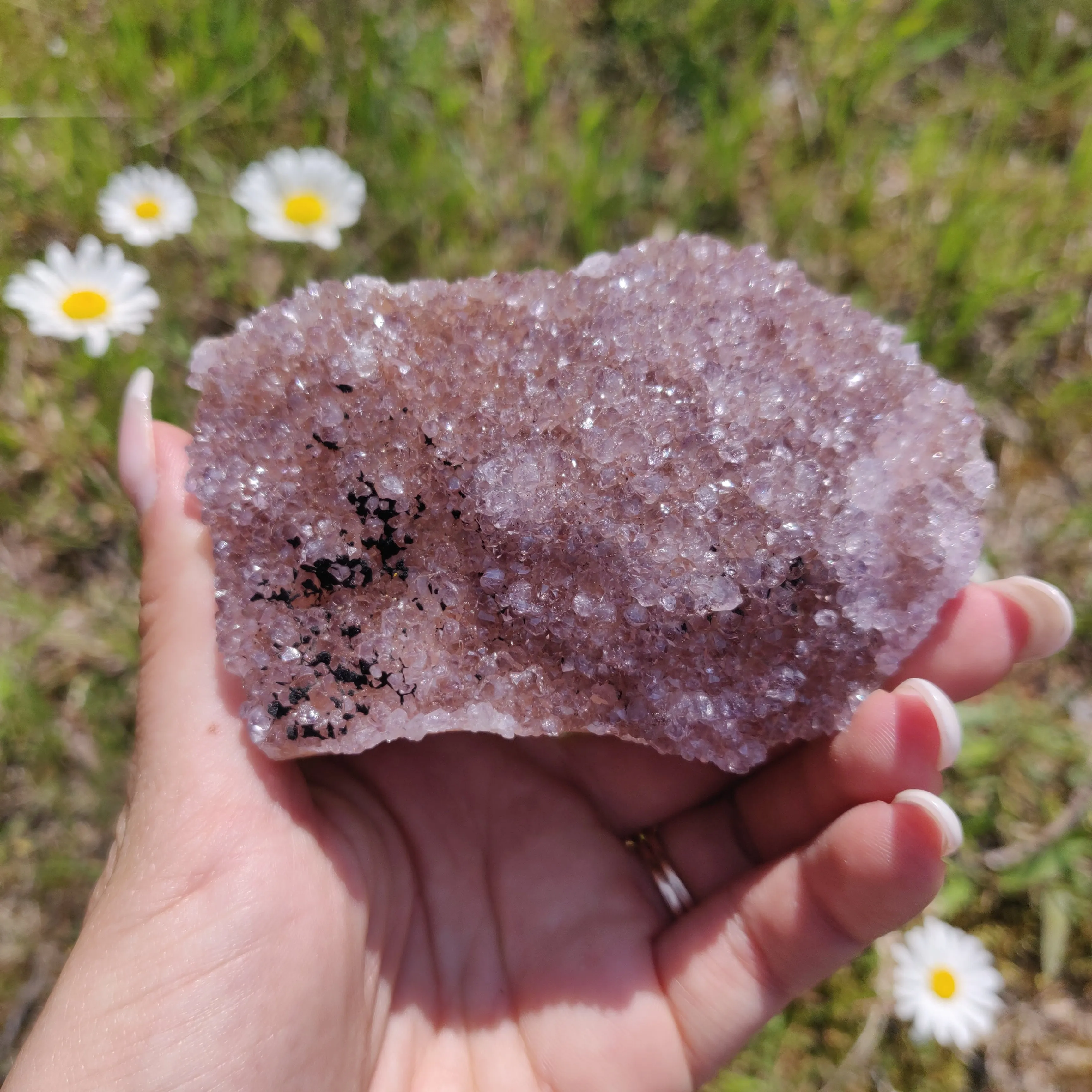 Amethyst Cluster (#4)