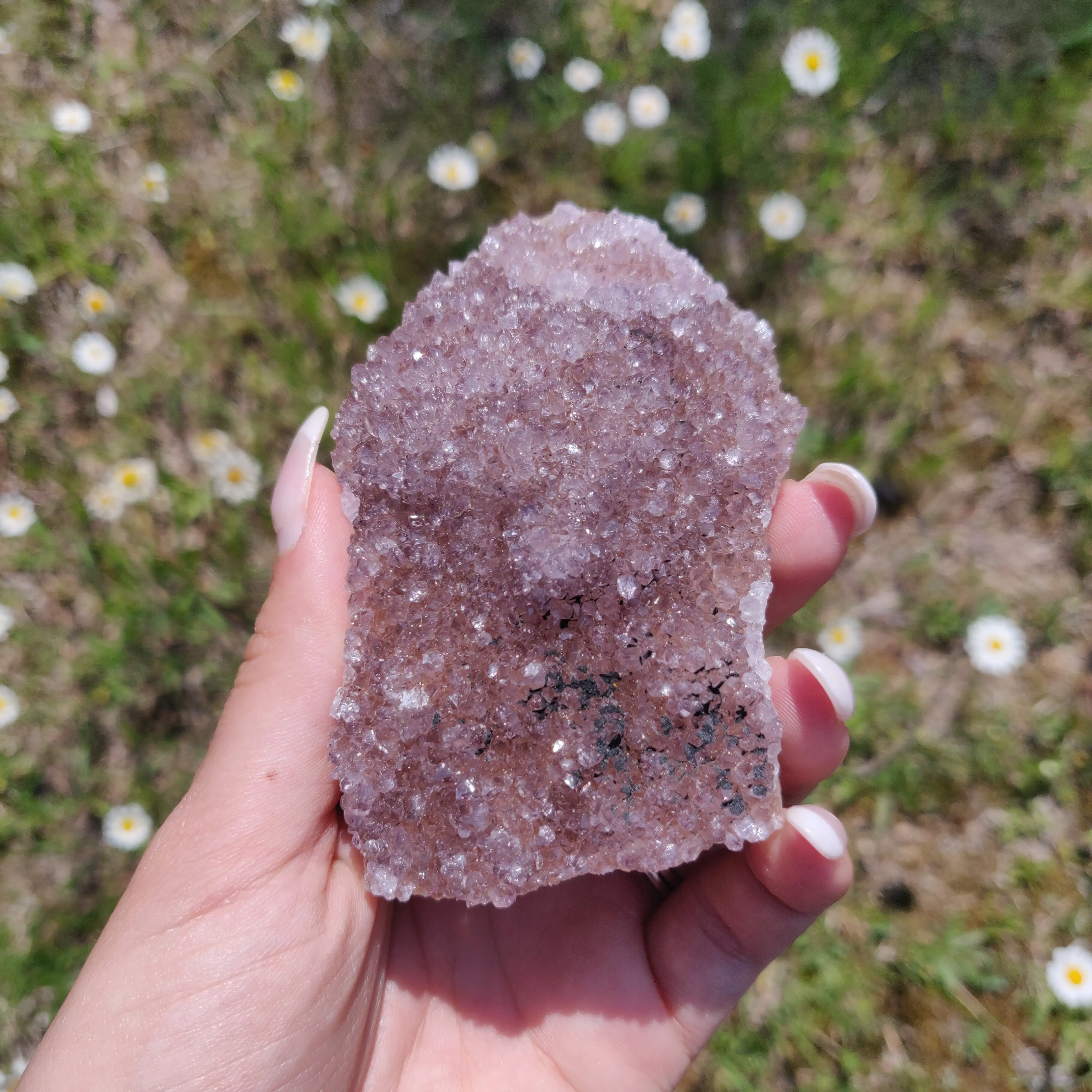 Amethyst Cluster (#4)