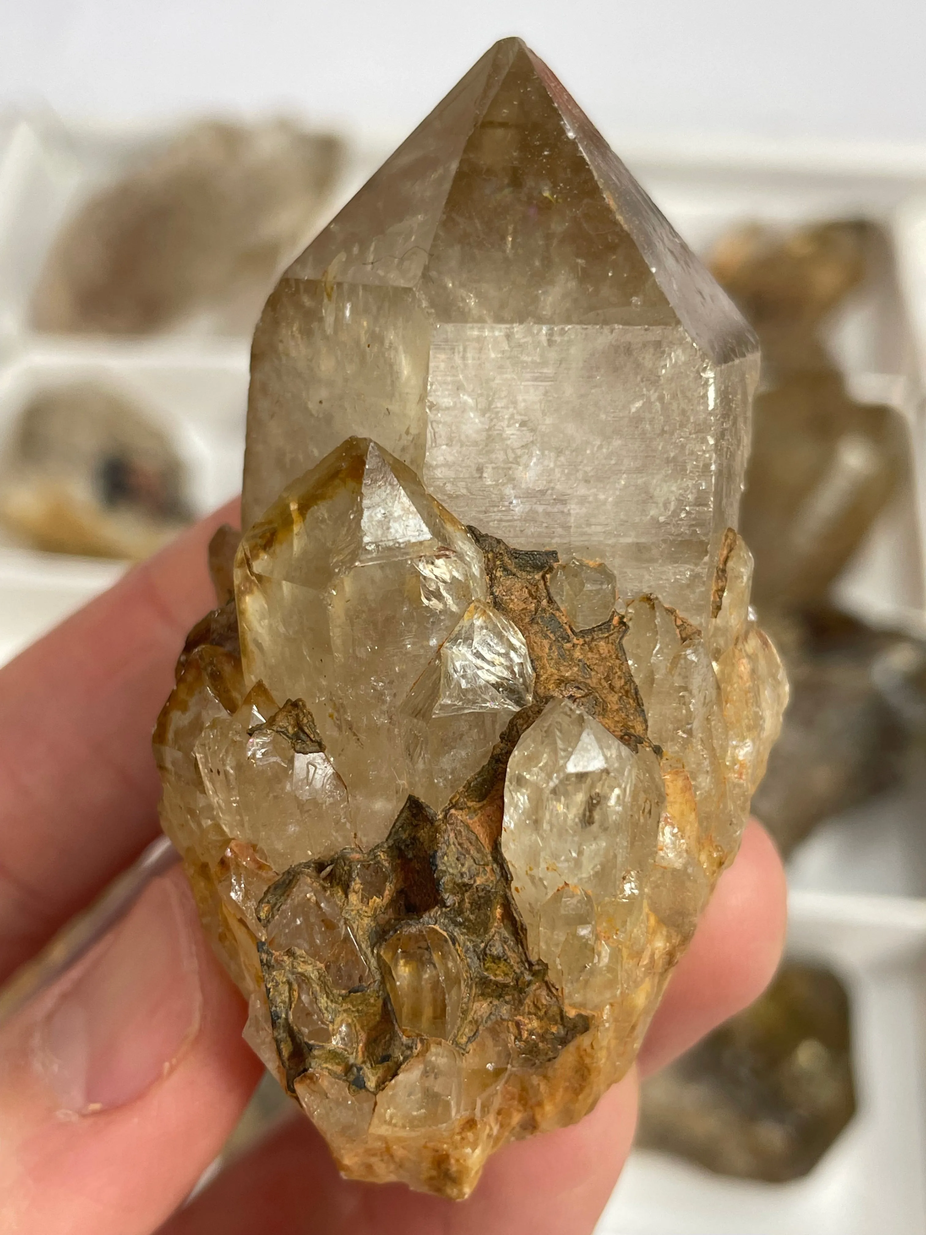 Kundalini Citrine Wholesale Flat 24 pieces from Democratic Republic of Congo