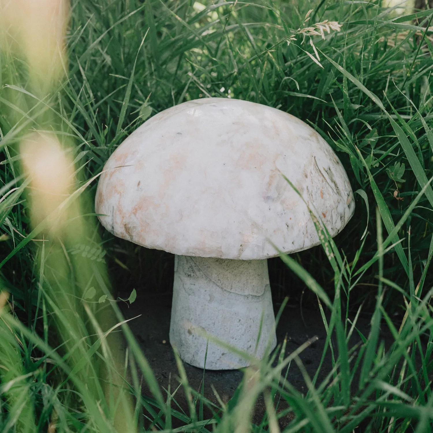 Mushrooms
