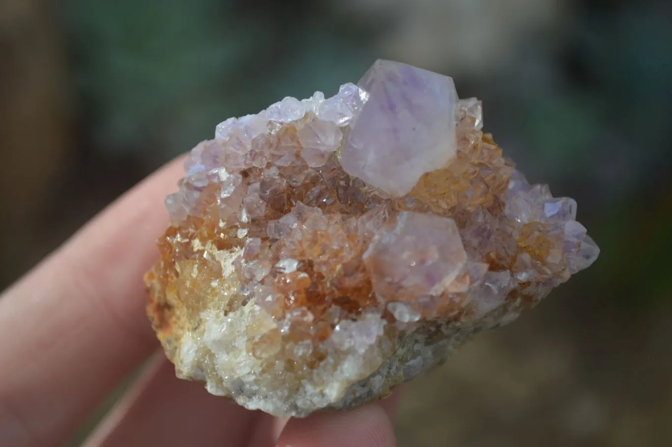 Natural Small Mixed Spirit Amethyst / Ametrine Specimens x 24 From Boekenhouthoek, South Africa